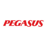 pegasus